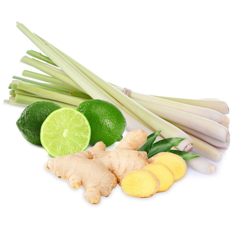 Agrotect trà đông trùng hạ thảo