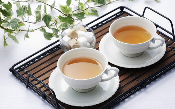 agrotect so sánh trà đông trùng với trà nhân sâm