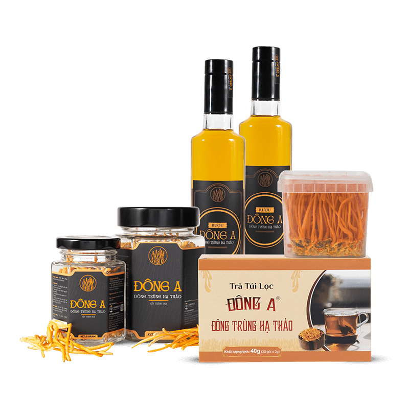 đông trùng hạ thảo đông a
